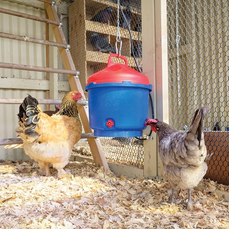 Premier 1 All-Season Heated Poultry Waterer for Chickens & Ducks – 3 Gallon | 100W thermostat keeps water unfrozen to -20°F. Quick-fill cap