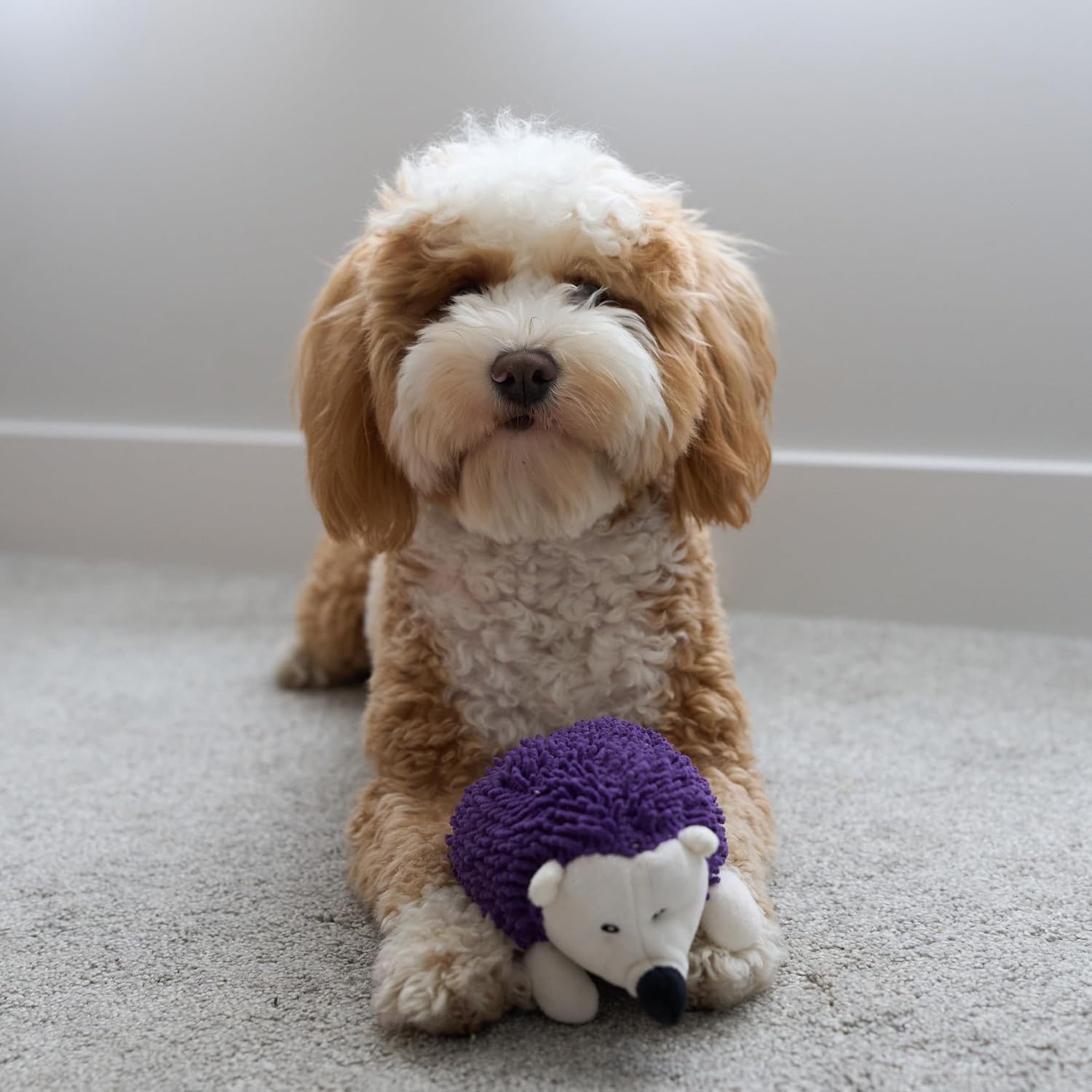 SPOT Gigglers Hedgehog Dog Toy with Giggle Sound | Textured, Plush Shake and Wiggle Hedgehog Giggle Toy for Small and Medium Dog Breeds