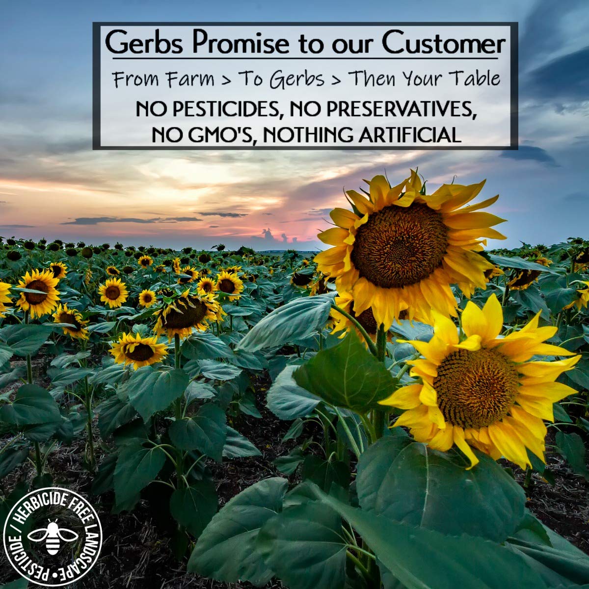 Lightly Sea Salted Sunflower Seed in Shell by Gerbs - 2 LBS - Top 11 Food Allergen Free & Non GMO - Premium Dry Roasted Seeds – COG USA | Small Batch, No Artificial Additives, Resealable Bag | Crack-and-Eat Crunchy Snack | Top 14 Allergen-Free