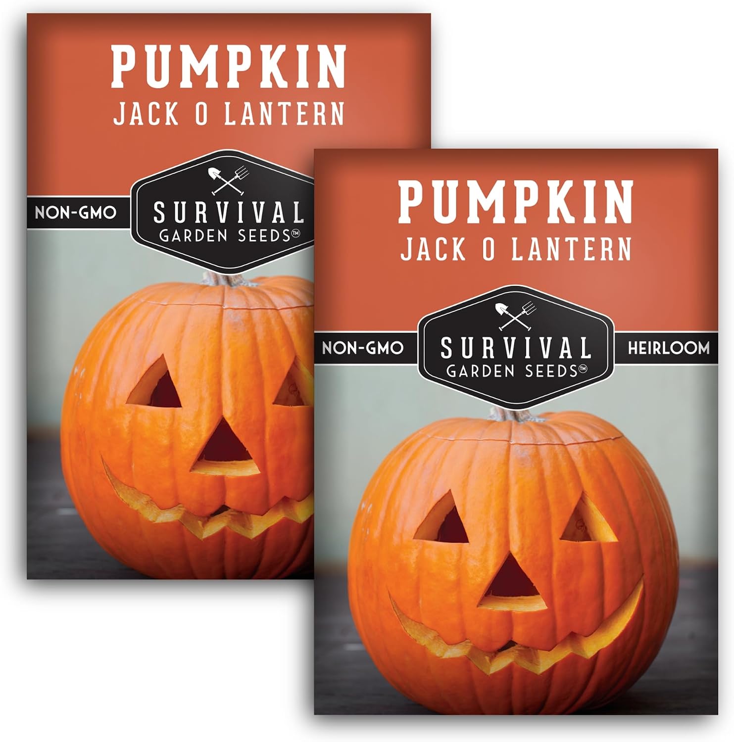 Jack O' Lantern Pumpkin Seeds for Planting - 1 Pack