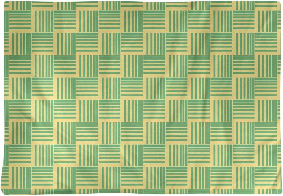 Dana Strider Two Color Basketweave Stripes Table Placemat, 18 x 14, Yellow & Green