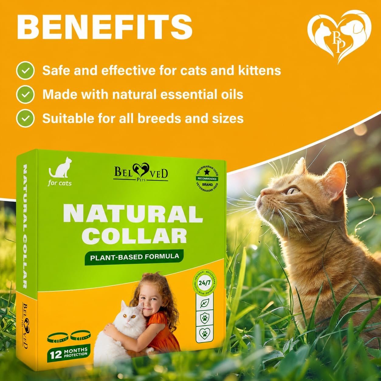 Natural Flea & Tick Collar for Cats - 6 Months Control of Best Prevention & Safe Treatment - Anti Fleas and Ticks Essential Oil Repellent (1 Pack)