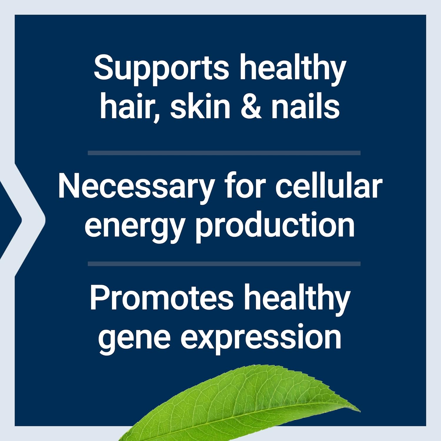 Life Extension Biotin 600 mcg Vitamin B7 Support Supplement for Beautiful Hair, Nails & Beyond – Gluten-Free, Non-GMO - 100 Capsules | Supports Hair
