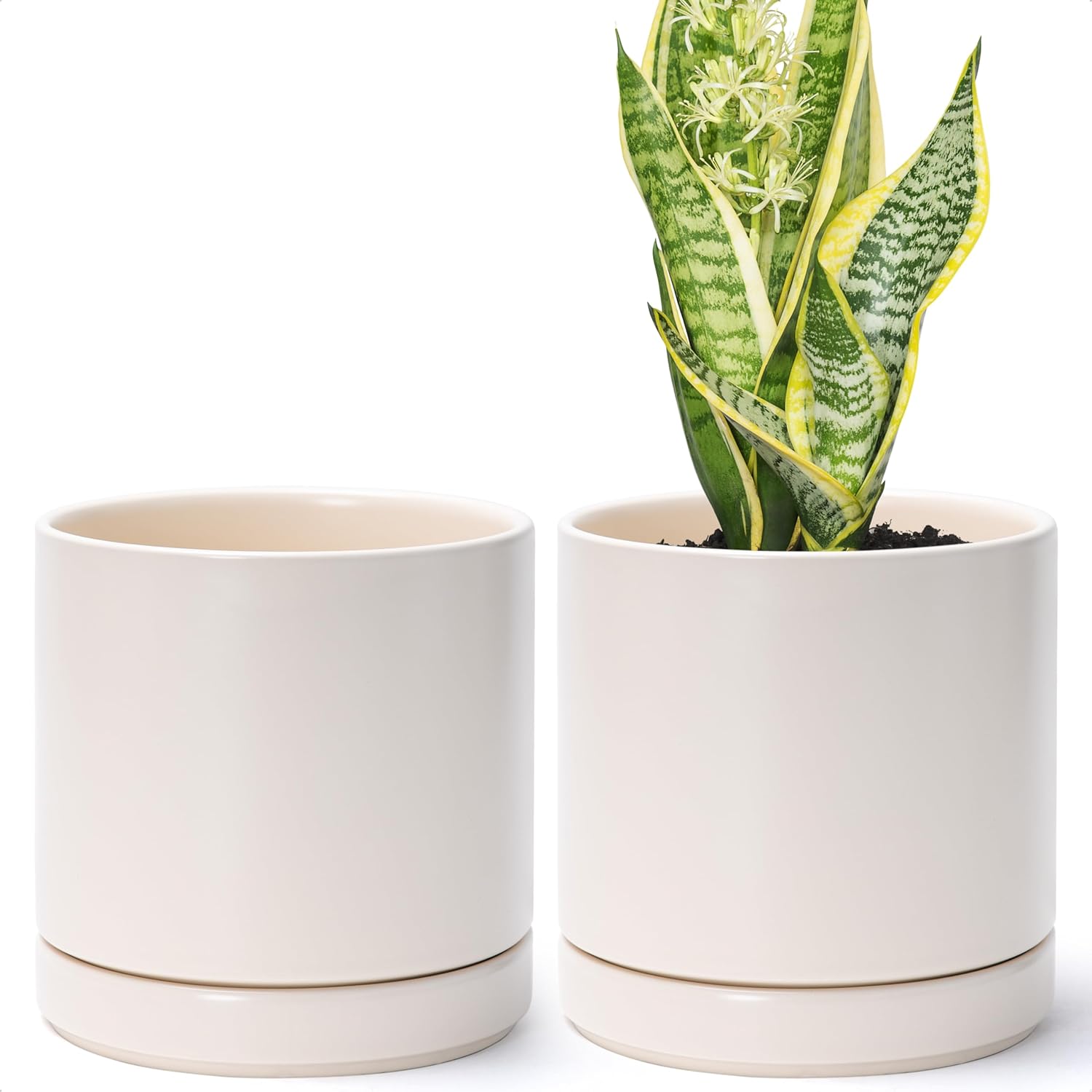 D'vine Dev 2-Pack Ceramic Pots with Saucers, White/Grey, 4.7 in, 94-V-B-6