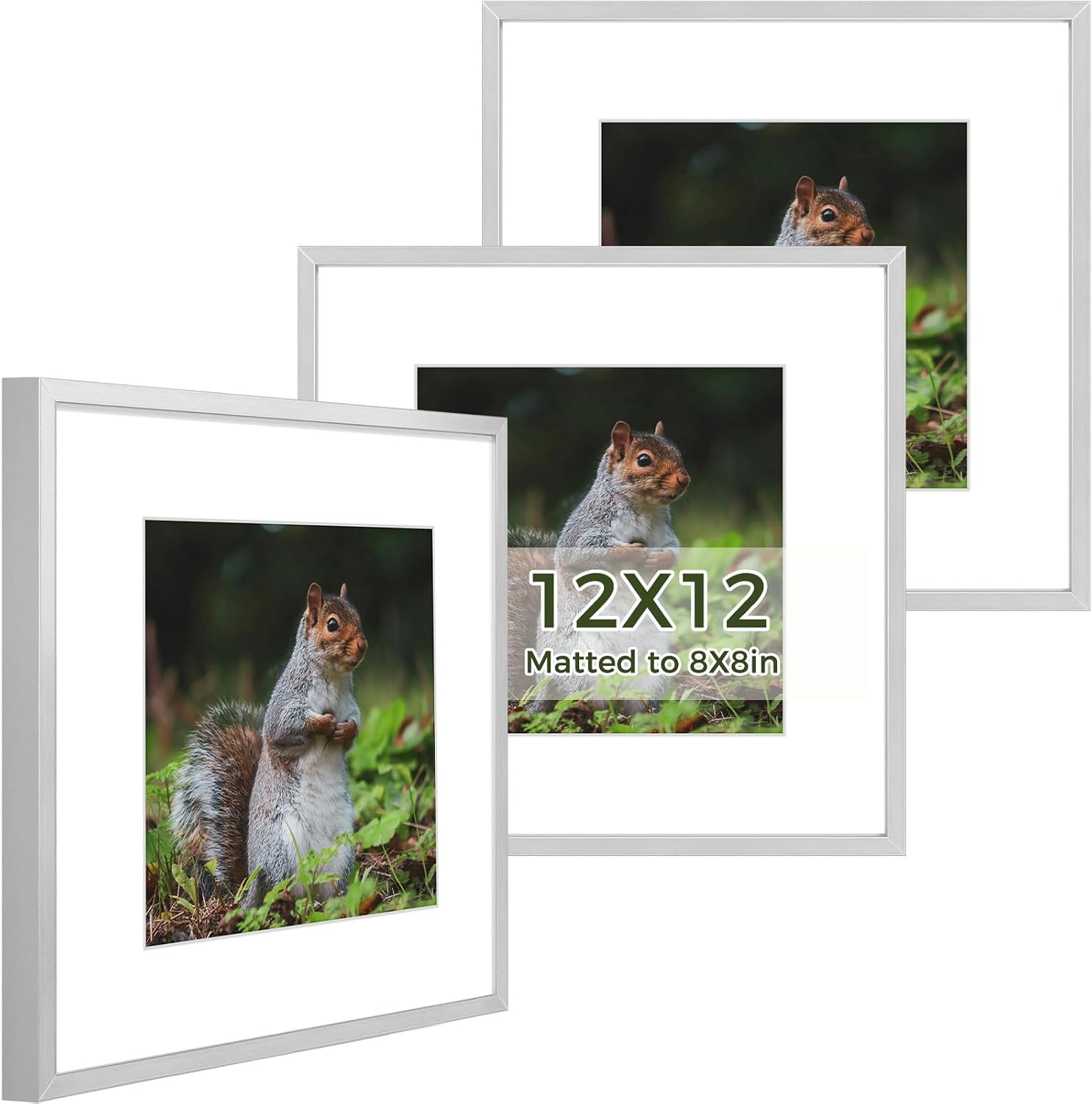 Golden State Art 3 Pack 12x12 Black Aluminum Frames, Real Glass Fronts