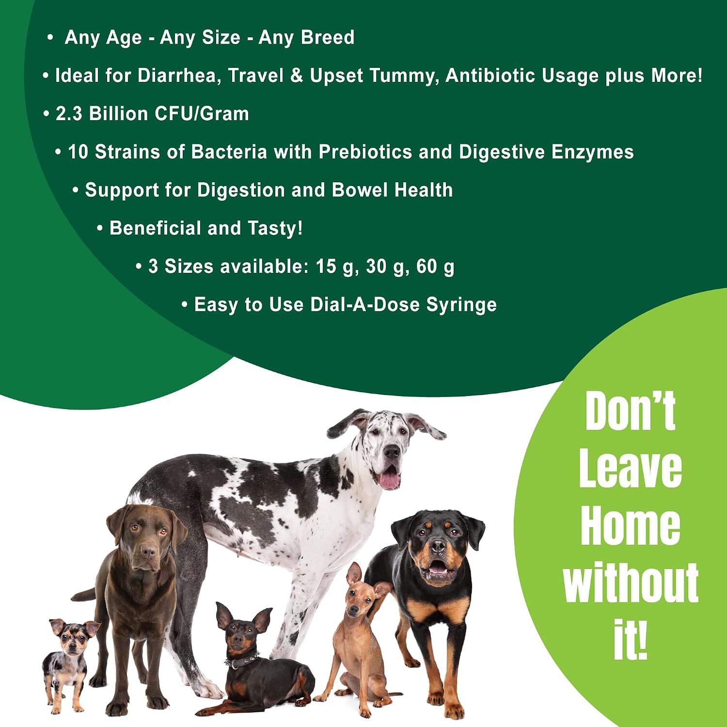 Dogzymes Canine Probiotic Paste Beneficial Bacteria-Enzyme 2.3 Billion CFU/gm Saccharomyces boulardii Organic Dried Honey Powder (30 Gram)