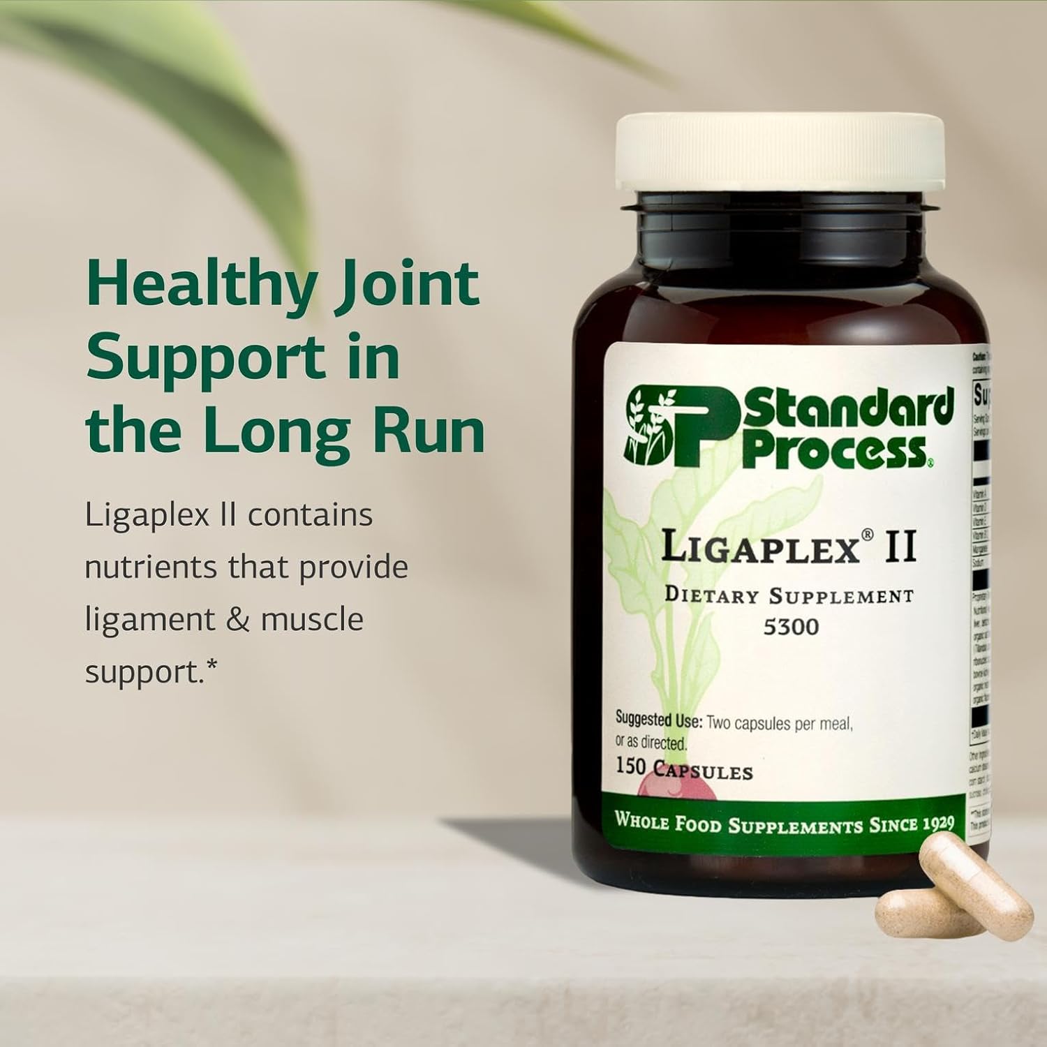 Standard Process Ligaplex II - Joint & Bone Support - Manganese Supplement with Vitamin B12
