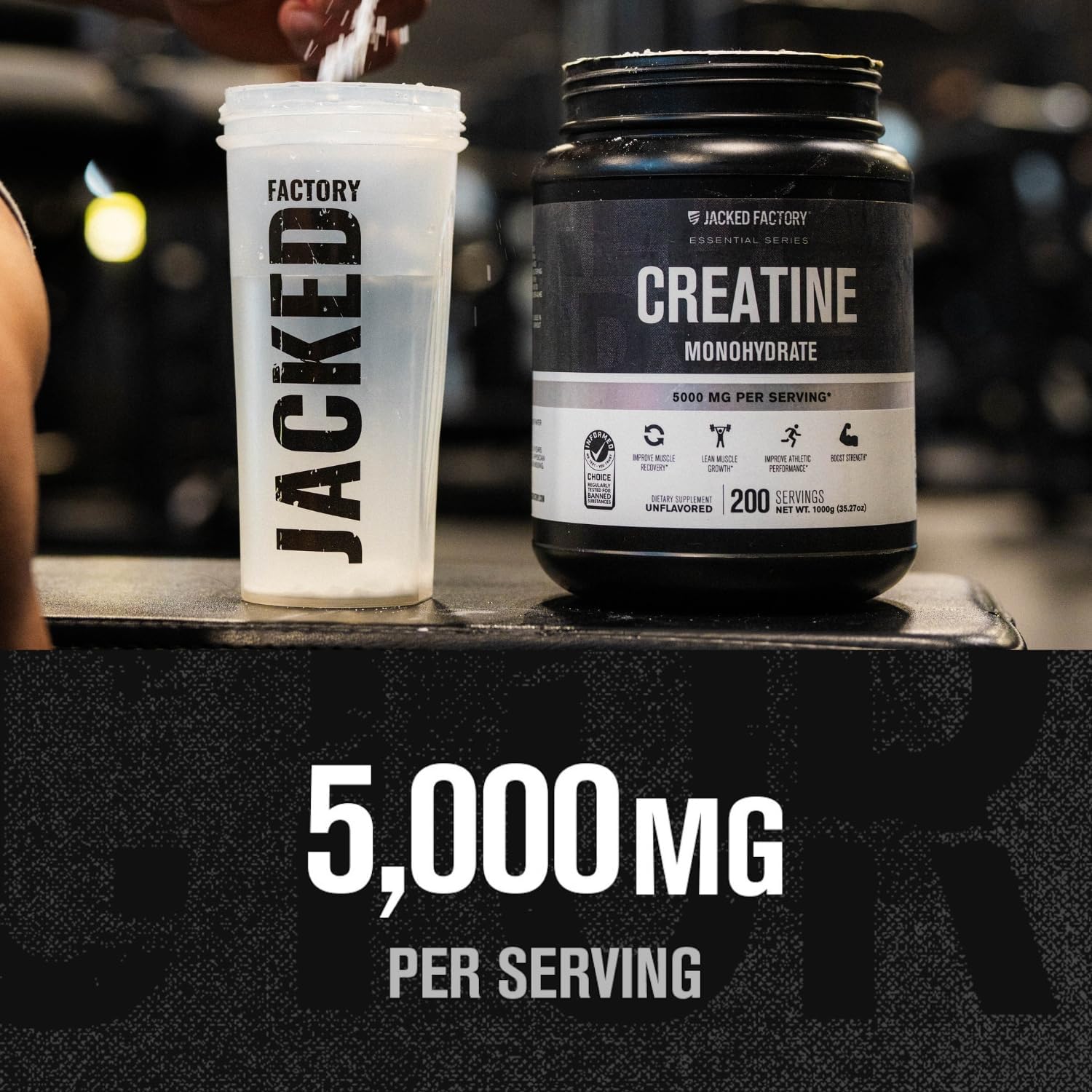 Jacked Factory Creatine Monohydrate Powder 425g - 5g Daily Micronized Creatine Monohydrate for Men and Women, Vegan-Friendly
