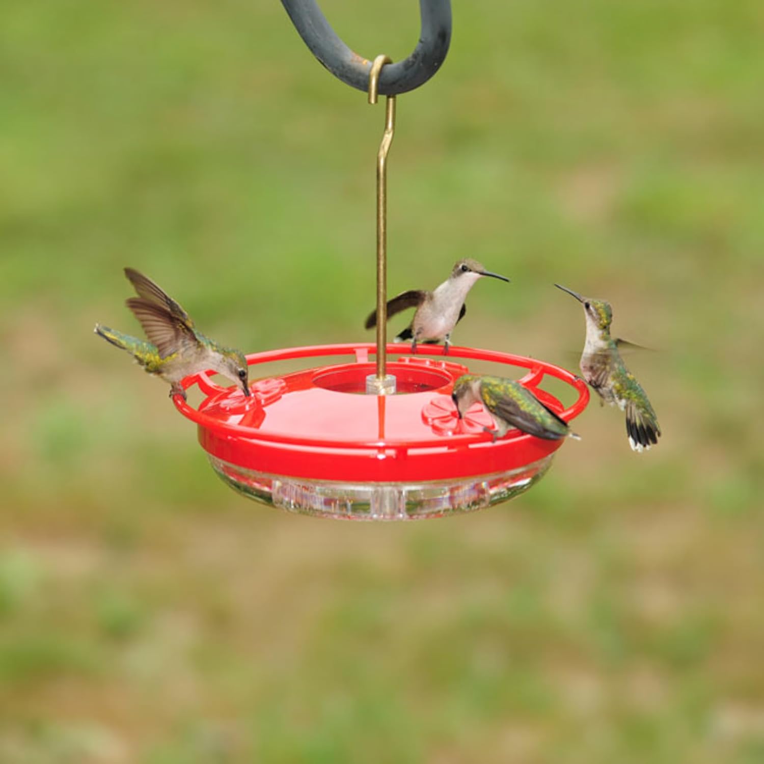 Aspects 430 Hummzinger Highview Mini Hummingbird Feeder, Red/Clear, 8 oz