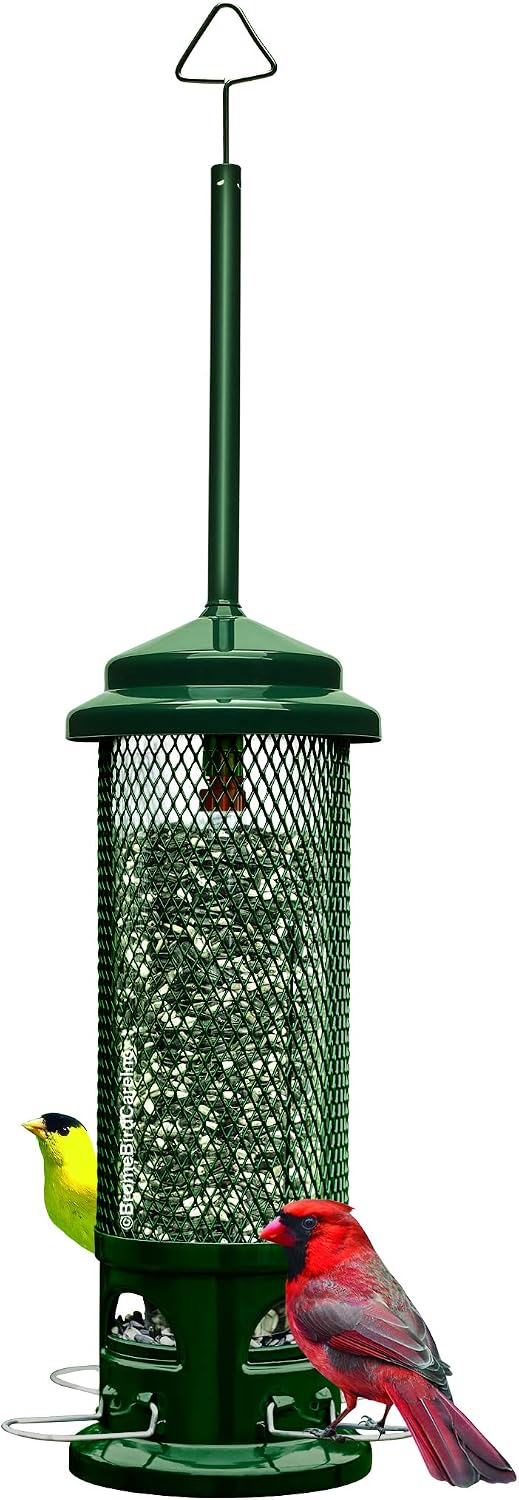 Squirrel Buster Legacy Squirrel-Proof Bird Feeder for Wild Birds – 4 Metal Removable Perches, 2.6 lb Seed Capacity, Chew-Proof Design, Easy to Clean, Green | Four removable metal perches, chew-proof construction, tool-free cleaning