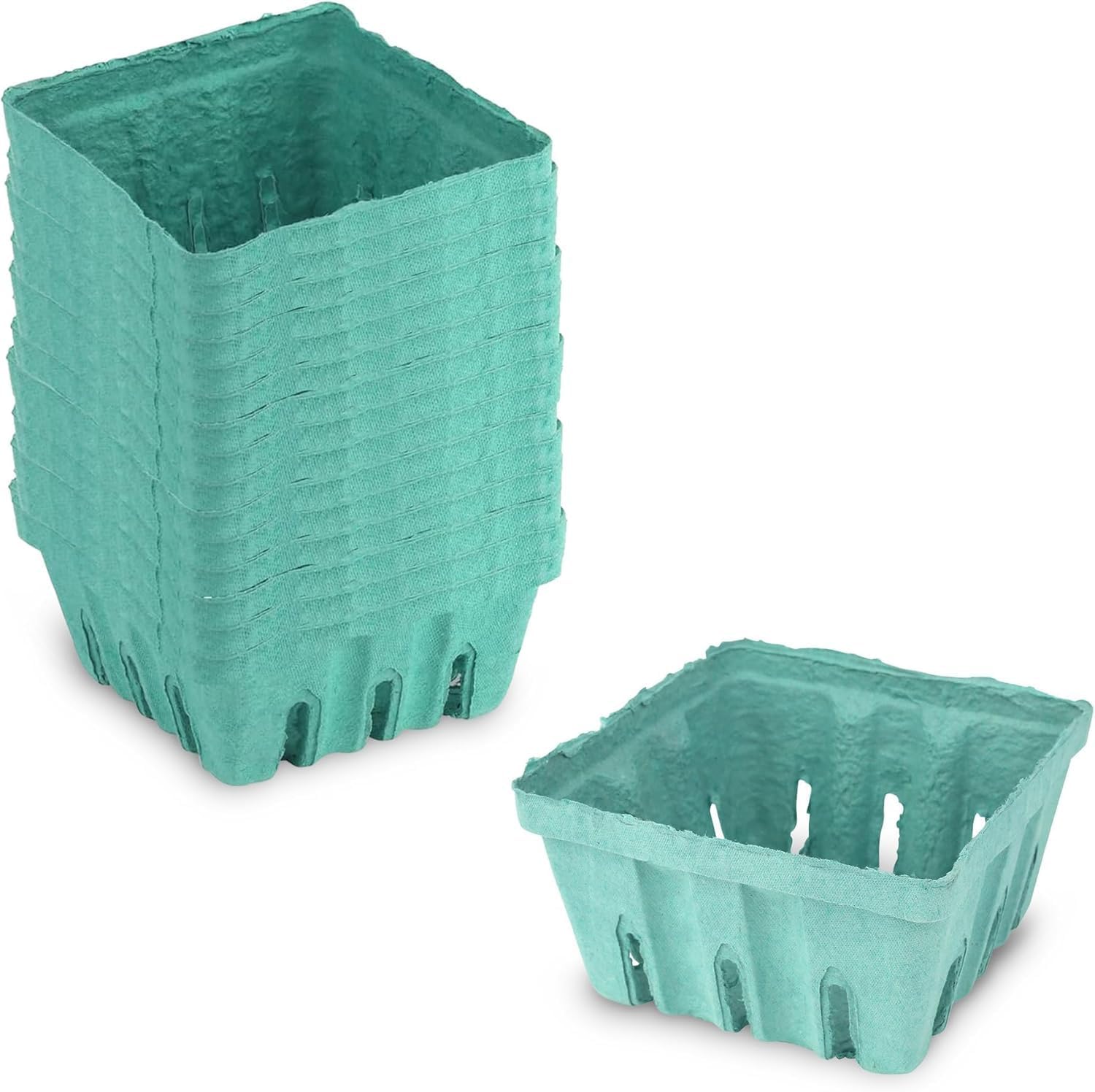 MT Products Green Berry Basket 1 Quart - Molded Pulp Fiber Vented Produce Basket (Pack of 15) - Made in the USA