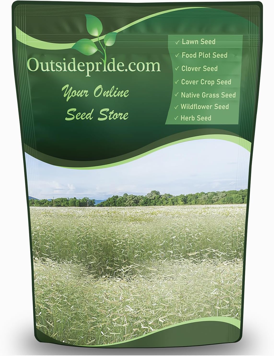 Outsidepride Blue Grama Native Grass Seed - 1 lb. Perennial, Drought Tolerant & Low Maintenance, Pasture Seeds for Planting Densely Tufted Leaves