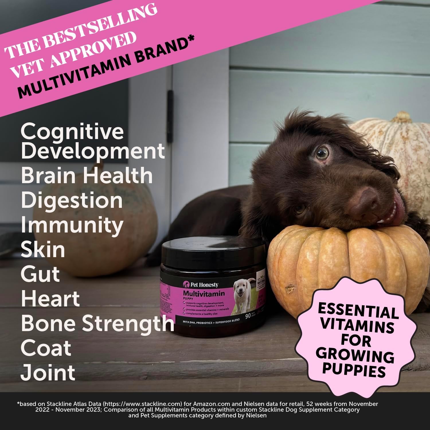 10-in-1 Dog Multivitamin Supplement with Glucosamine & Probiotics - Hip & Joint Support, Digestive Health, Immune Support, Heart & Skin - All-in-One Daily Vitamins & Omega-3s for Dogs, Chicken, 90 Ct