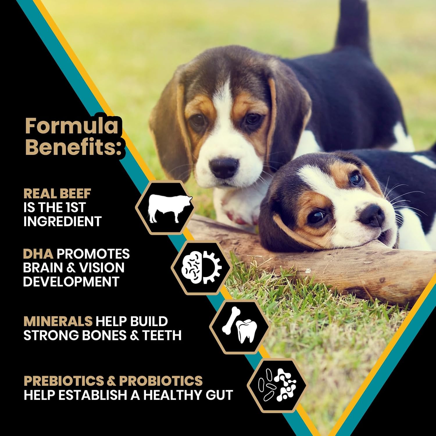 VICTOR Hi-Pro Plus Dry Dog Food - High Protein Gluten Free Dry Kibble, 5lb | Super Premium Dog Food, 30% Protein, Beef, Chicken, Pork and Fish Meals, For High Energy & Active Dogs & Puppies, 5lbs