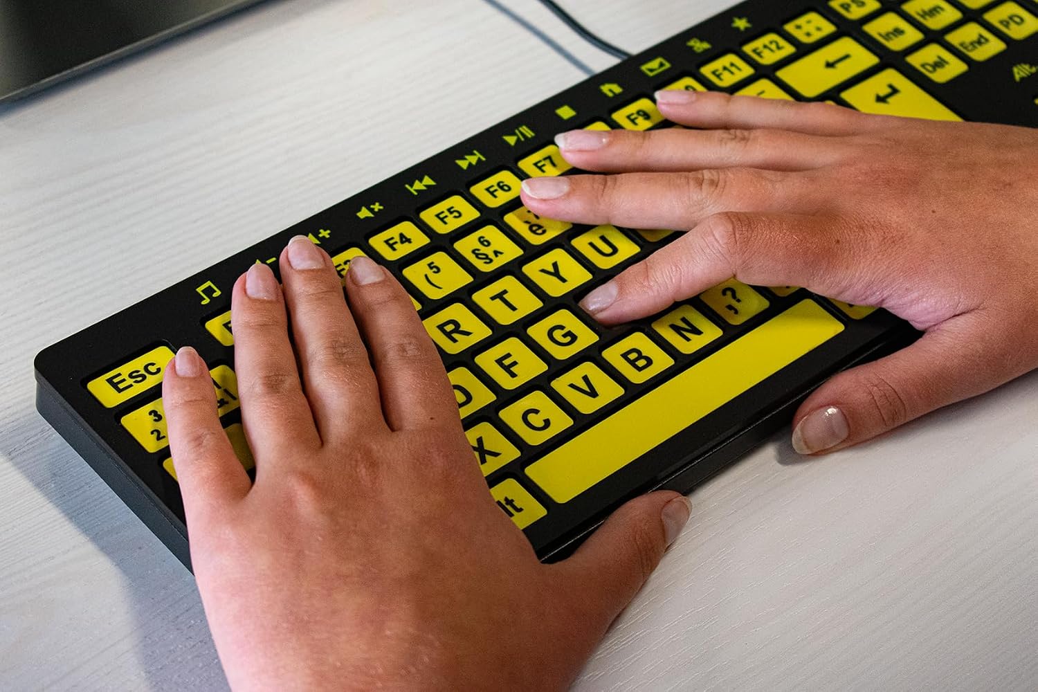 Clevy ALT ClearKeys Keyboard and Keyguard Combo - Large Print High Contrast USB Wired Keyboard for Visually Impaired + Custom Keyguard for Temporary