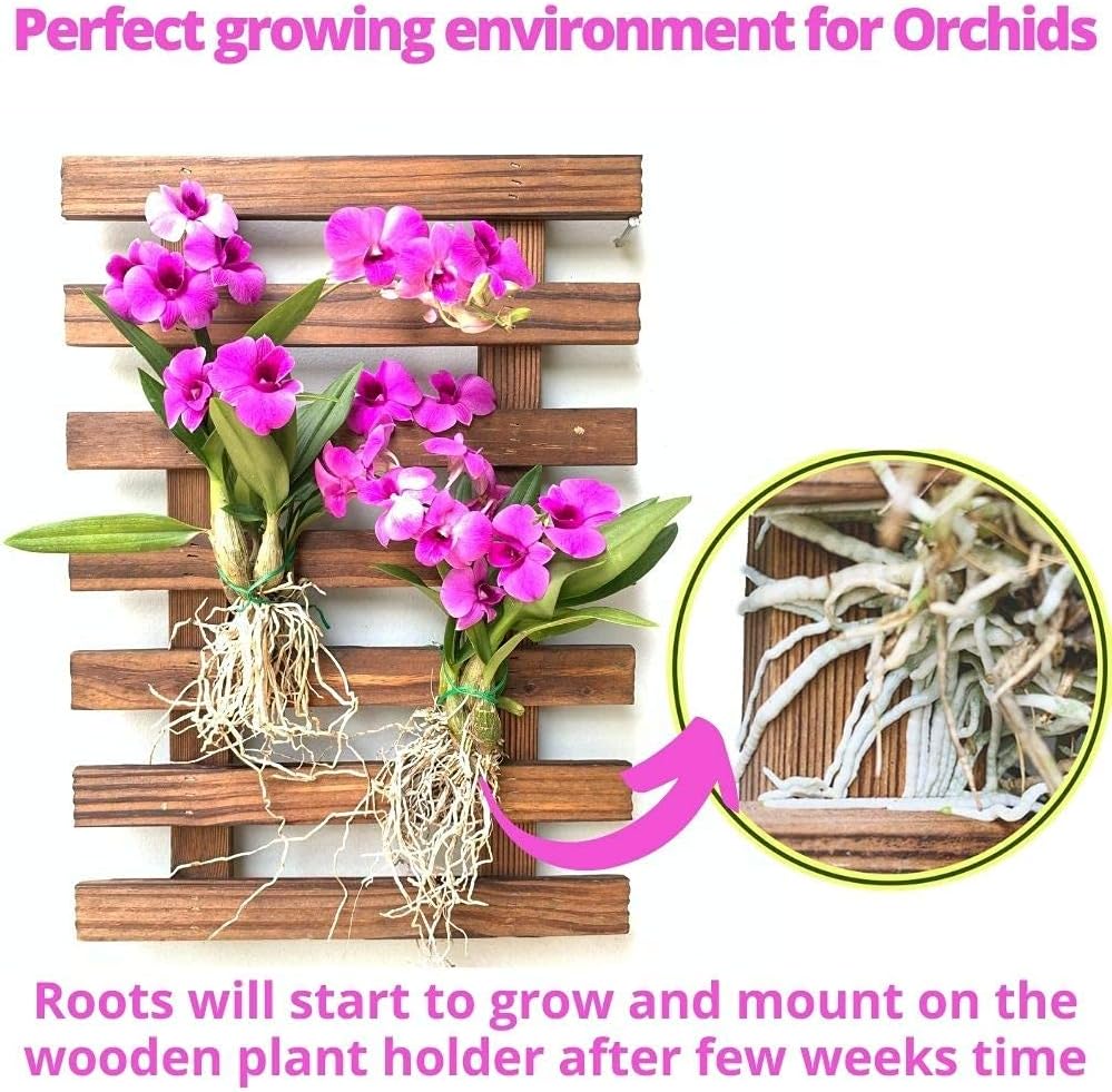 ShopLaLa Wall Planter (60cm, 2 Pack) Hanging Planters for Indoor Plants
