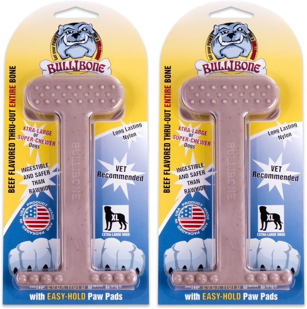 Bullibone Nylon Dog Chew Toy for Aggressive Chewers - Dental Hygiene Bone with Beef Flavor, Durable Tough Chew Toys for Small Dogs, Indestructible Dog Bone - 3 Pack