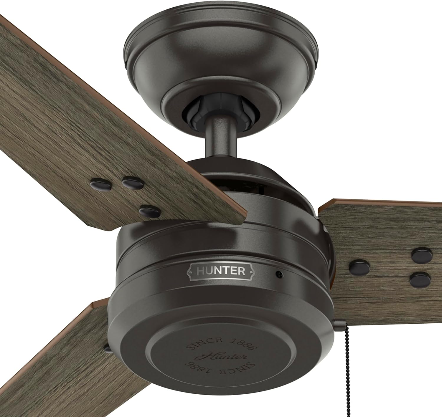 Hunter Cassius, Outdoor or Indoor, Ceiling Fan, 44 inch, Matte Black