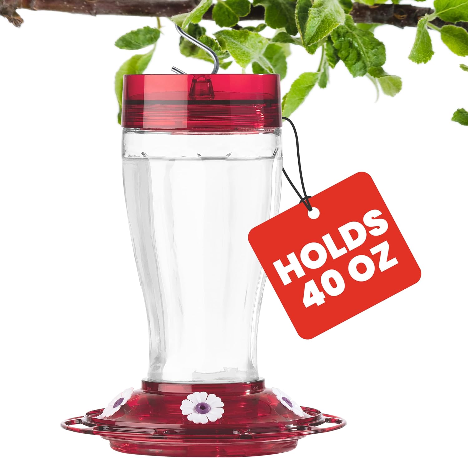 More Birds Bird Health+ Big Gulp Hummingbird Feeder, Glass Hummingbird Feeders for Outdoors, 5 Feeding Stations, 40 Ounces | Built-in Ant Moat