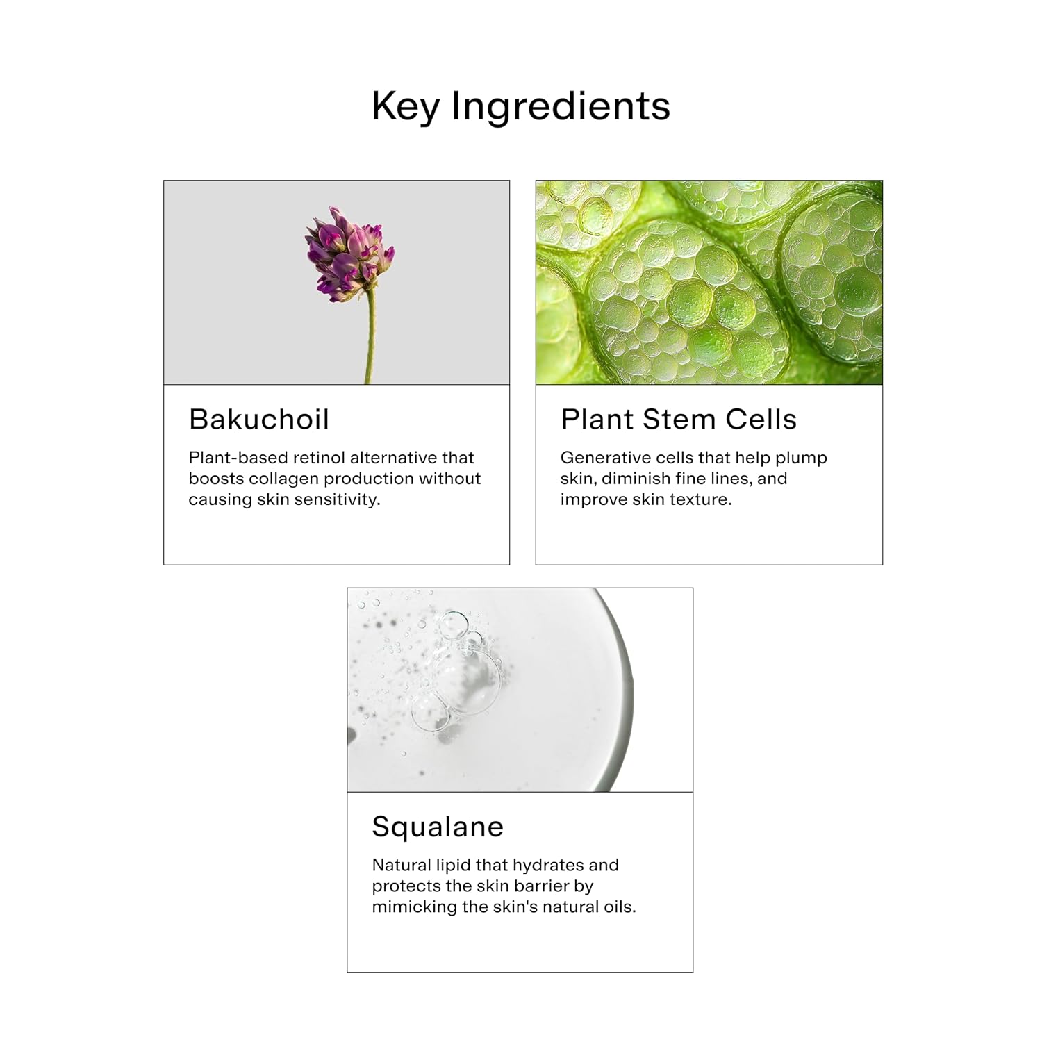 CLEARSTEM - HYDRAGLOW Stem Cell Moisturizer - Bakuchiol + Squalene - Youthful Skin Face Moisturizer - All Skin Types - Facial Skin Care Products