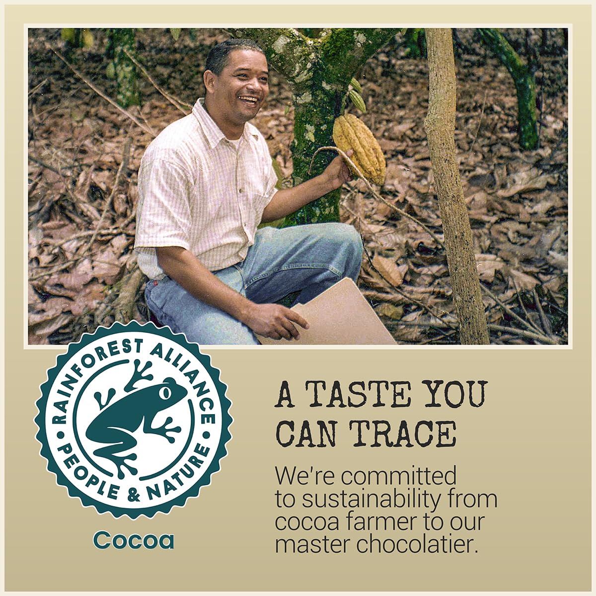Chocolove Creamy Milk Chocolate Bars | 33% Cocoa | Crafted with Silky Premium Chocolate | Non-GMO, & Gluten-Free, 3.2 oz Bar (12 Pack)