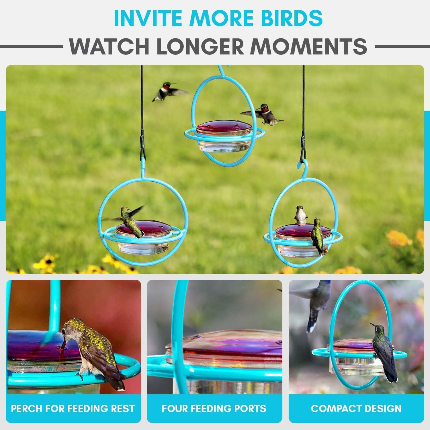 Hummingbird Feeder for Outdoors Hanging, 3.4 OZ Hummingbird Feeders, Glass Bowl with 4 Feeding Ports, Leak Proof Lid & Circular Perch, Bird Feeder (1, Red)