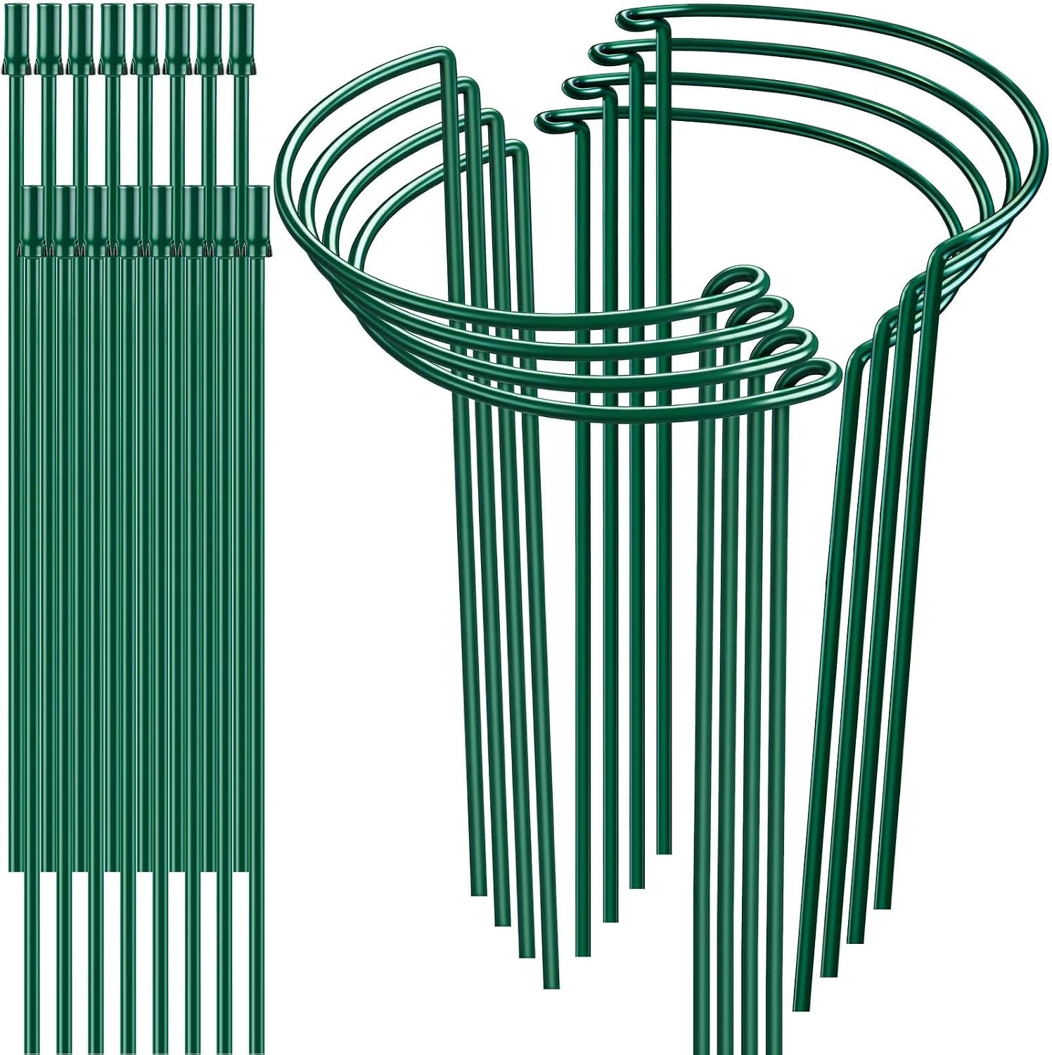 HiGift 8 Pack Plant Support Stakes, Half Round Metal Garden Plant Stake Indoor Peony Cages and Supports, Green Plant Support Ring Border for Tomato