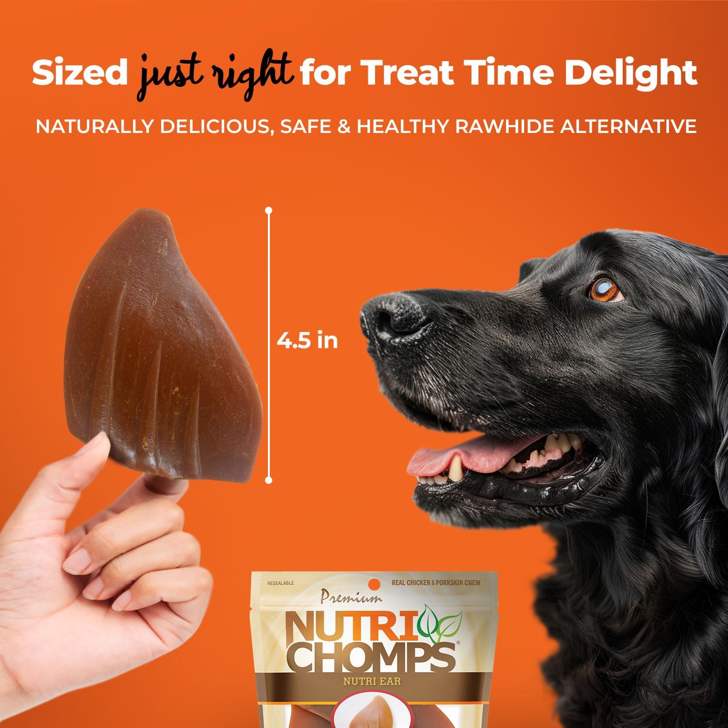 NutriChomps Rawhide-Free Dog Chews, Ear-Shaped, Chicken, 10 Count