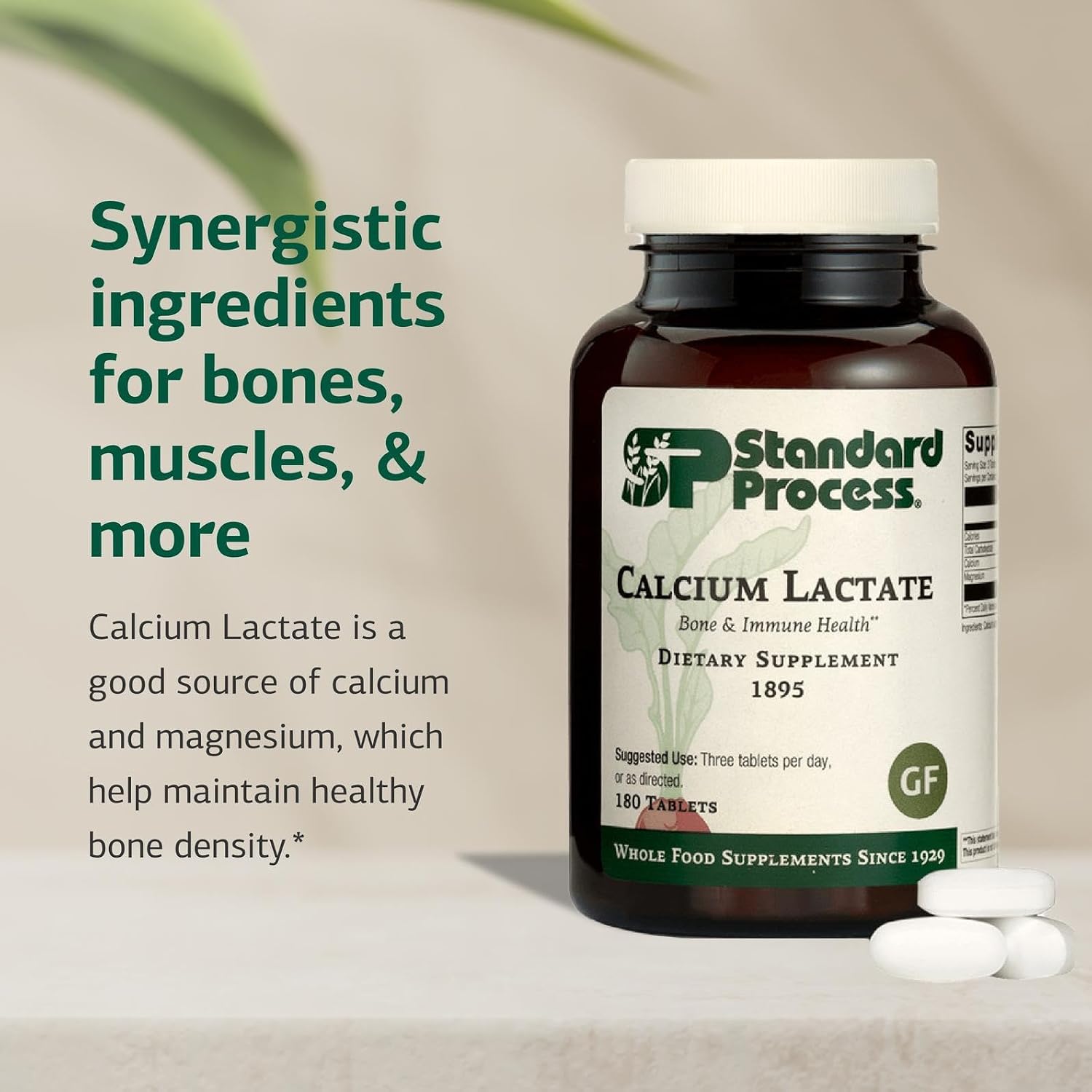 Standard Process - Calcium Lactate Powder - Bone Health & Immune Support - Calcium Magnesium Supplement for Bone Strength & Blood Health - Non-Dairy, Soy & Gluten-Free - 12 oz