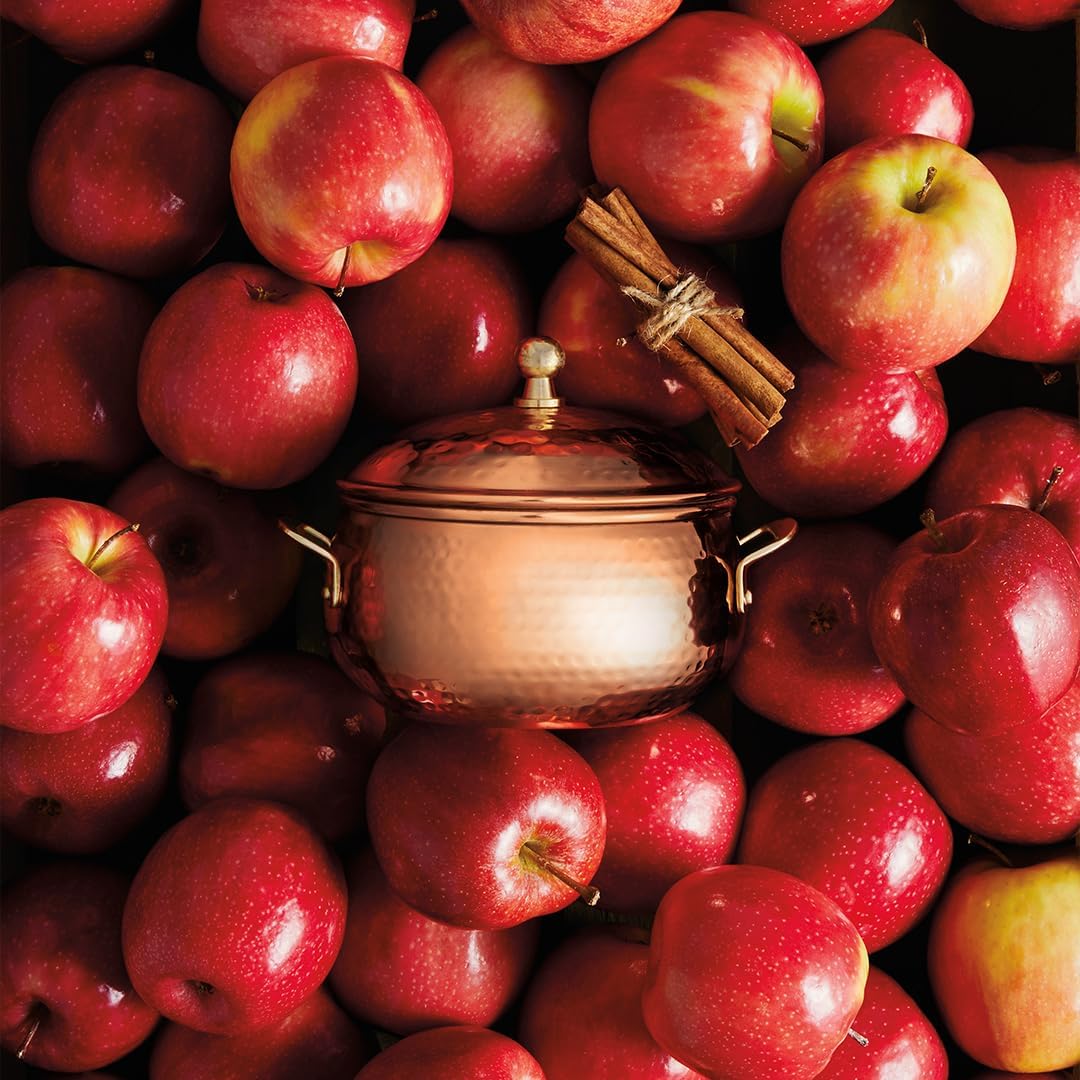 Thymes Simmered Cider Copper Candle - Warm & Spicy Apple Scented Candles for Home - Notes of Apple, Clove, and Cardamom - Luxury Gifts for Women - Fall Decor - 3 Wick (Copper Pot, 18 oz)