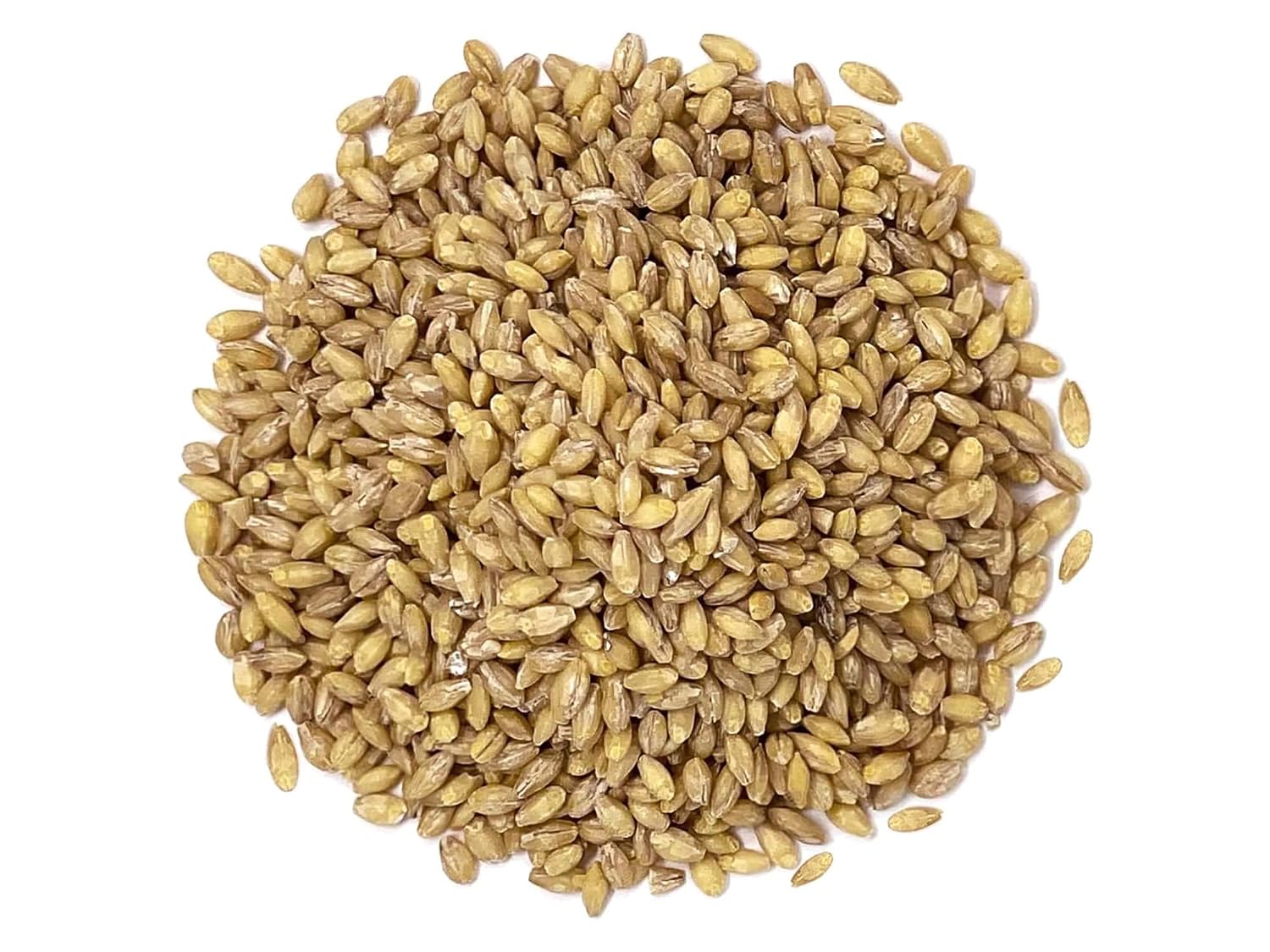 Food to Live Organic Hulled Barley, 15 Pounds – Non-GMO, 100% Whole Grain, Kosher, Vegan, Bulk. Suited for Home Brewing, Grinding. High in Fiber. Great for Chili, Hot Cereal, Salads, Soup.