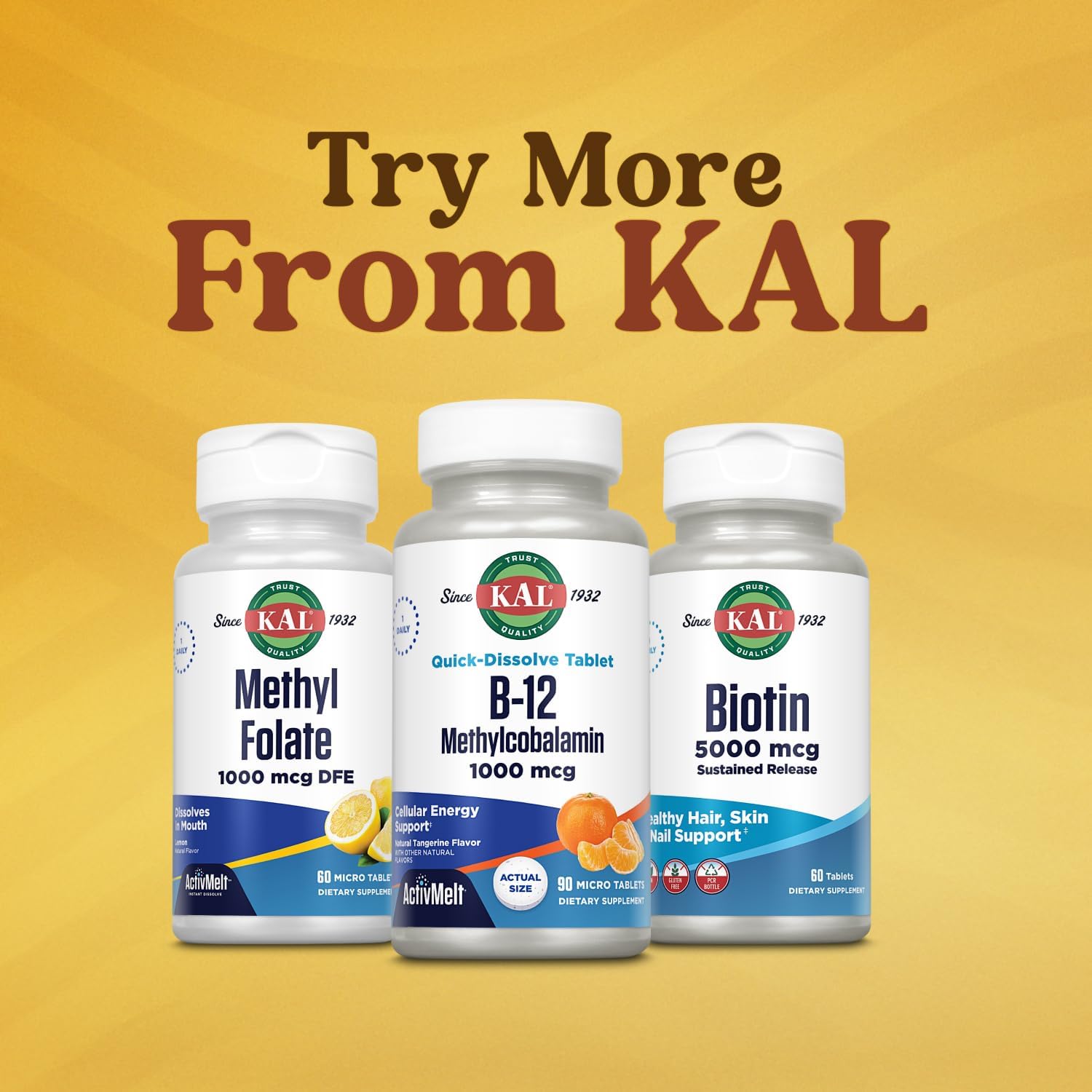KAL Vitamin B-6 B-12 Folic Acid DropIns, Liquid Vitamin B Supplement Drops, Heart Health, Energy, Red Blood Cell Support with Methyl B12 and Methyl Folate, Natural Mixed Berry Flavor, 59 Servings, 2oz | Cardiovascular, Energy & Nerve Support - Active P-5…
