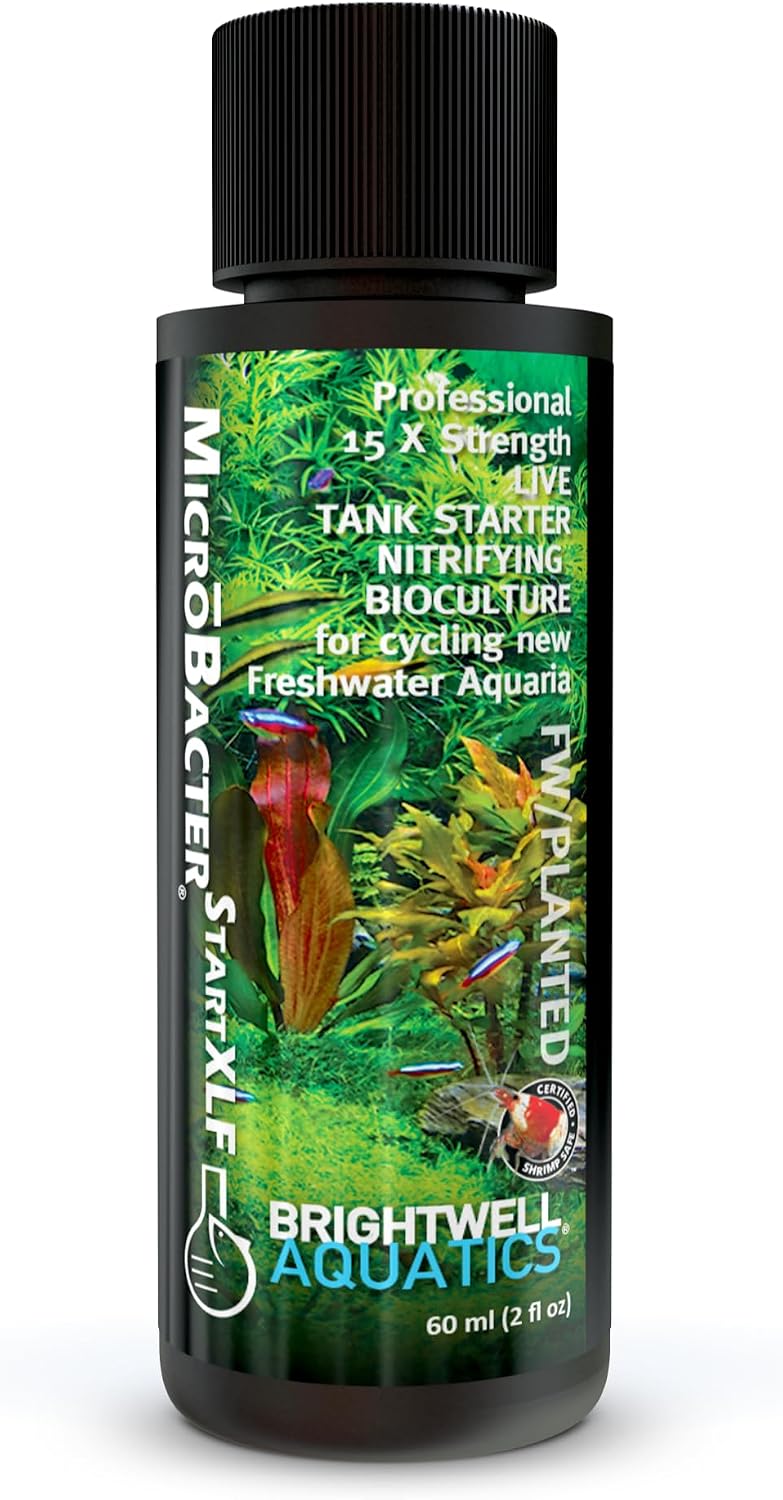 Brightwell Aquatics MicroBacter Start XLF Freshwater Tank Starter, 125 ml