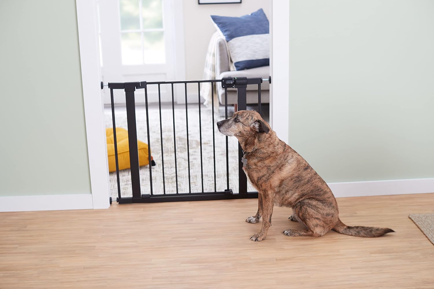 Safety 1st Easy Install Walk Thru Baby Gate for Doorway With Door, Dog Gates, Fits 29"-38", Easy Install 28" Tall, White