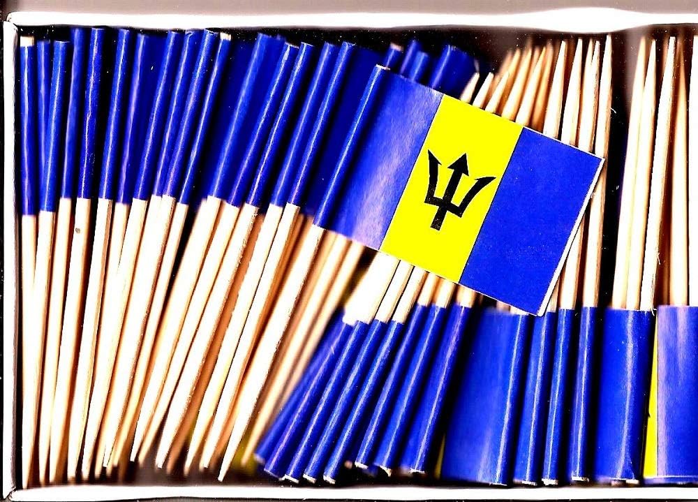 One Box of 100 Nicaragua Toothpick Flags, 100 Small Mini International Flag Cupcake Toothpicks or Cocktail Picks