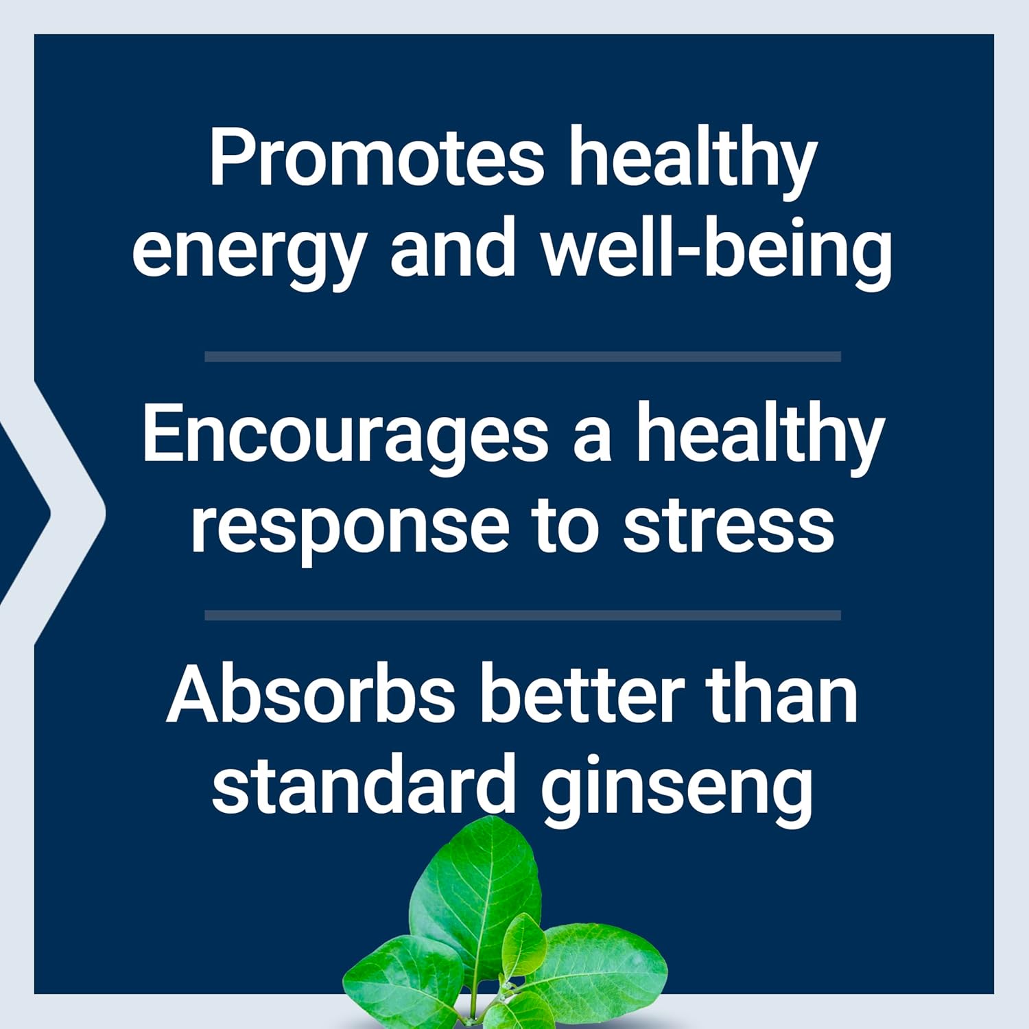 Life Extension Ginseng Energy Boost, Energy Support, Healthy Stress Management, Gluten-Free, Non-GMO, Vegetarian
