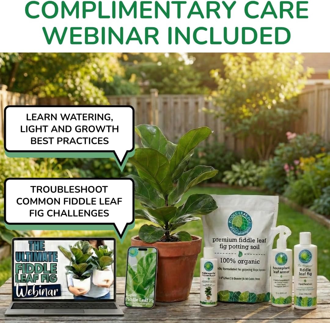 Fiddle Leaf Fig Plant Food, 3-1-2 NPK Liquid Fertilizer for Ficus, 8 oz