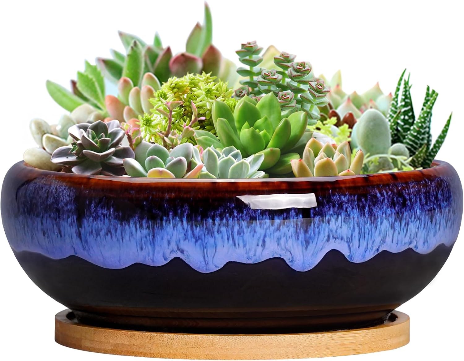 SQOWL 7 Inch Round Ceramic Succulent Planter Pot Drip Glazed Shallow Planter with Drainage Bamboo Tray for Indoor Plants