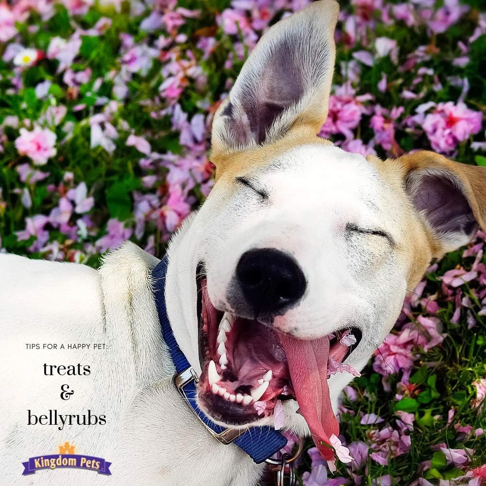 Chicken Jerky Dog Treats with Only 3 Ingredients and No Fillers, 3 Pound Bag
