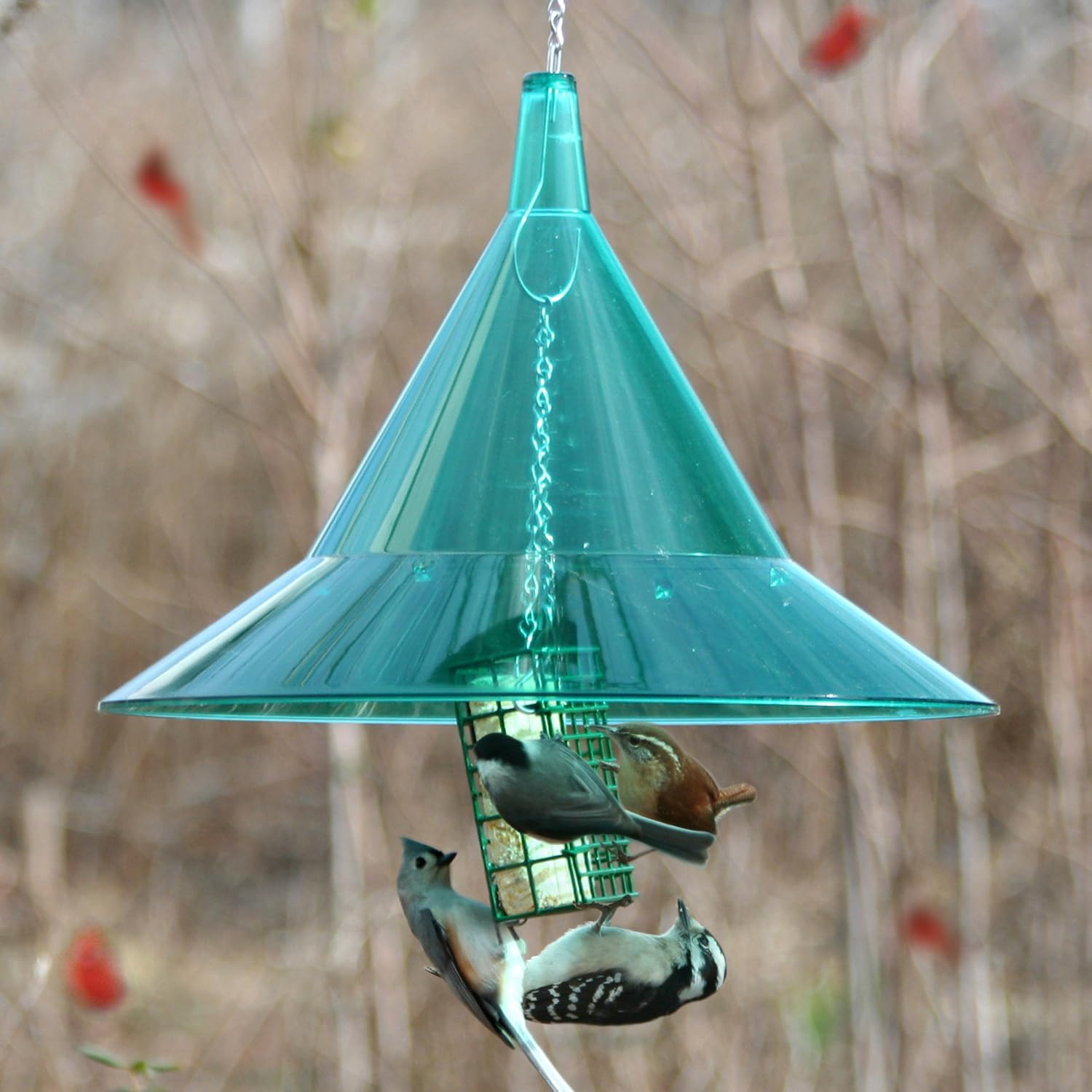 Squirrel Baffle - for Outside Bird House and Feeder Pole - Premium Large 17” Dome - by Arundale Made in USA (Crystal Clear)