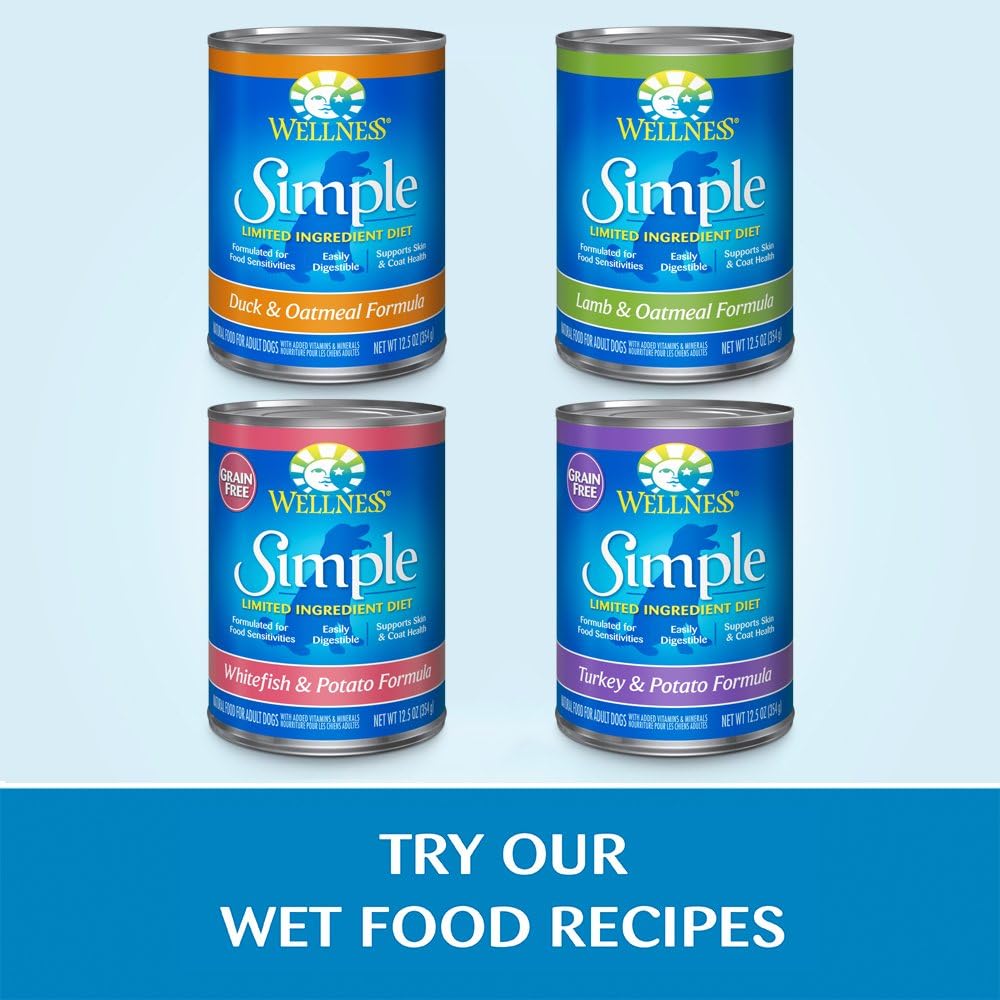 Wellness Simple Limited Ingredient Small Breed Adult Dry Dog Food, Grain Free Kibble, Sensitive Stomach, Skin & Coat Support, Natural, Chicken Free, Salmon and Potato Recipe, 10.5 lb Bag