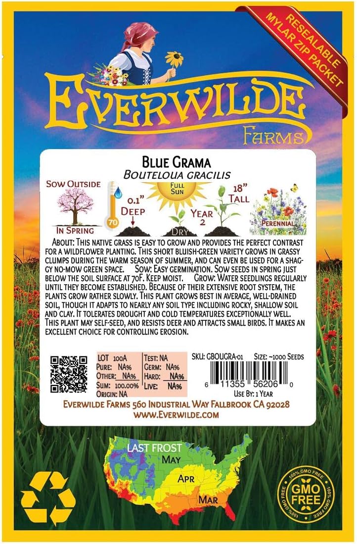 1000 Blue Grama Native Grass Seeds - Gold Vault Jumbo Seed Packet