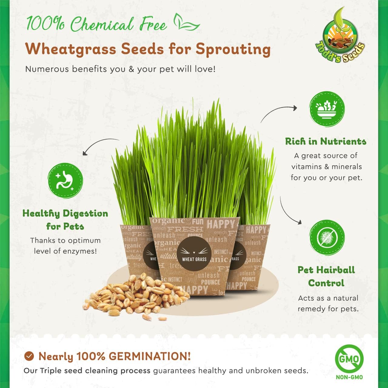Todd's Seeds Hard Red Wheatgrass Seeds, 5 lb Bulk – Non-GMO | Hard Red Winter Wheat variety. Bulk 5 lb supply. High germination rate. Grow in soil or hydroponics. USA packed.