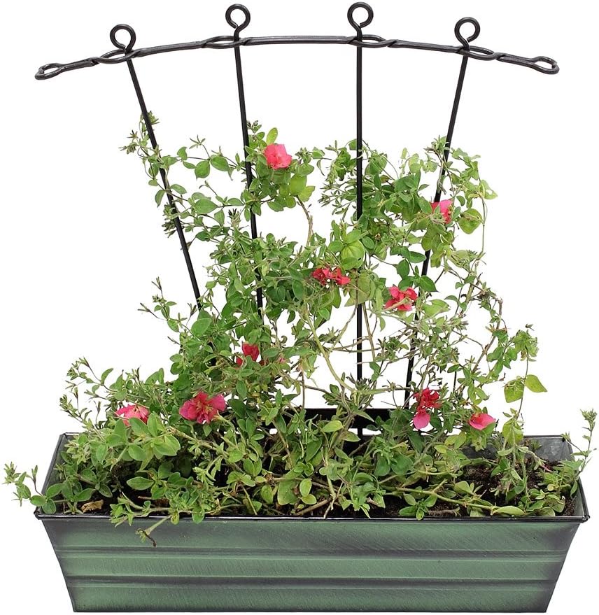 Achla Designs Galvanized Window Flower Box Planter-Green-Medium (24" L x 9.5" W x 7.5" H)