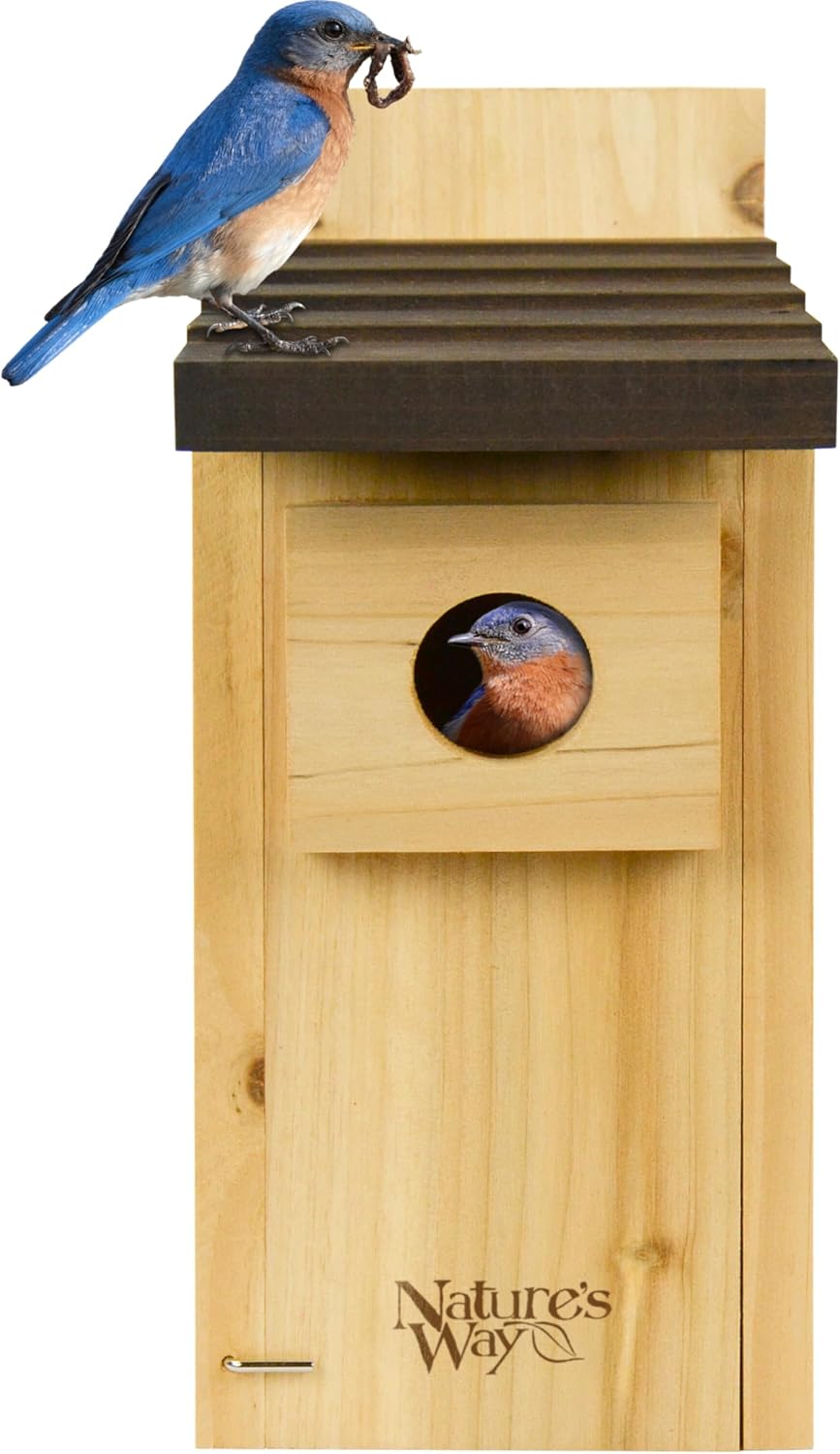 Wild Wings WWCH3 Cedar Blue Bird Box House