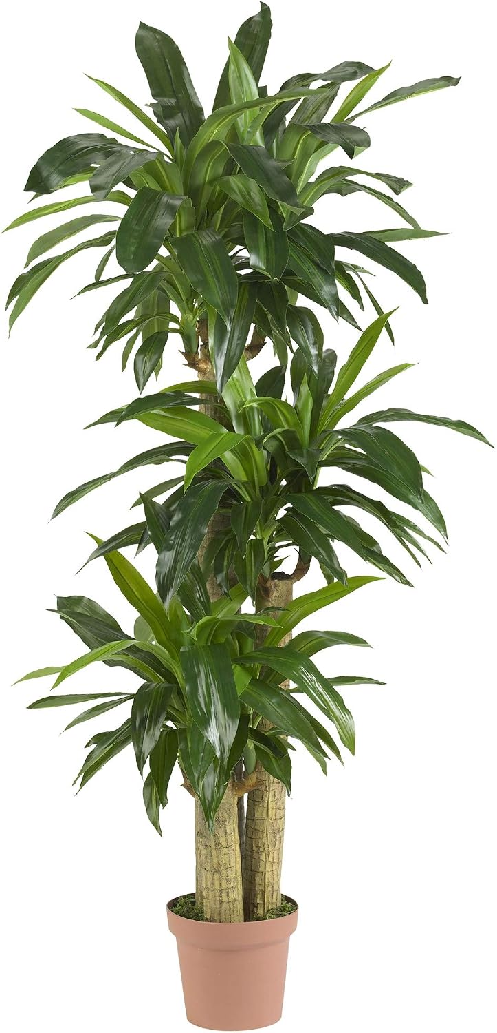 Nearly Natural 62IN Artificial Corn Stalk Dracaena Plant, Tall Fake Plant for Indoor Home Décor, Real Touch Faux Plant | Multi-Tonal Trunks