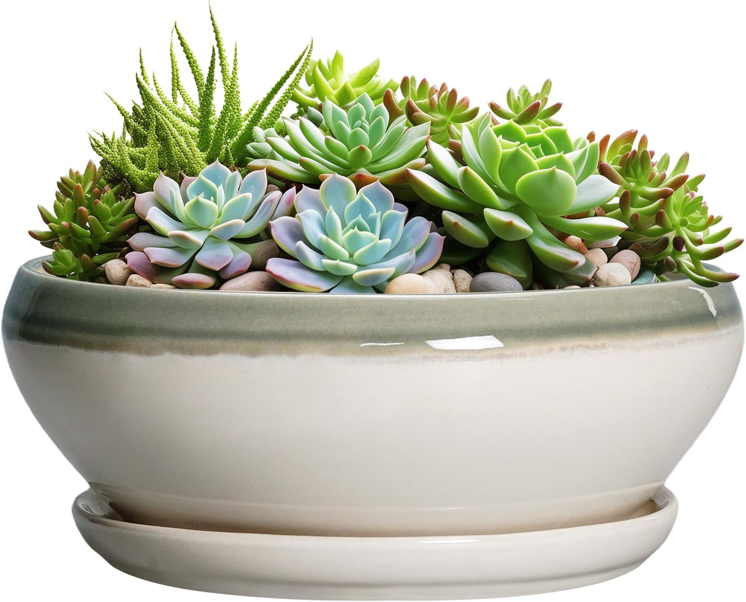 SQOWL 7 Inch Round Ceramic Succulent Planter Pot Drip Glazed Shallow Planter with Drainage Bamboo Tray for Indoor Plants