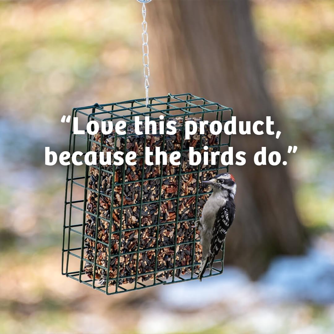 Birds Choice Bugs 'N Nuts Seed Cake | Wild Bird Food with Insects & Fruit | High-Energy Mix of Sunflower Chips, Peanuts