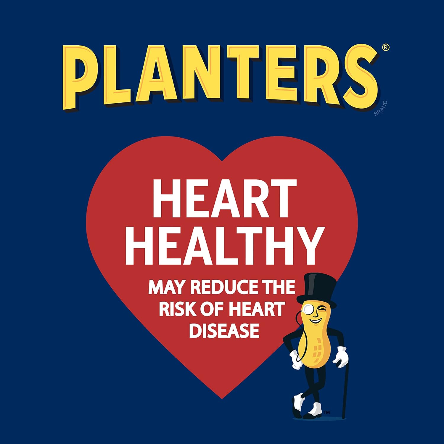 PLANTERS Salted Peanuts, Party Snacks, 16 Oz (1 Ct) | Dry Roasted Salted Peanuts. 0g Trans Fat. Resealable Jar. Snacks for Adults. Party Mix, Flavored Nuts