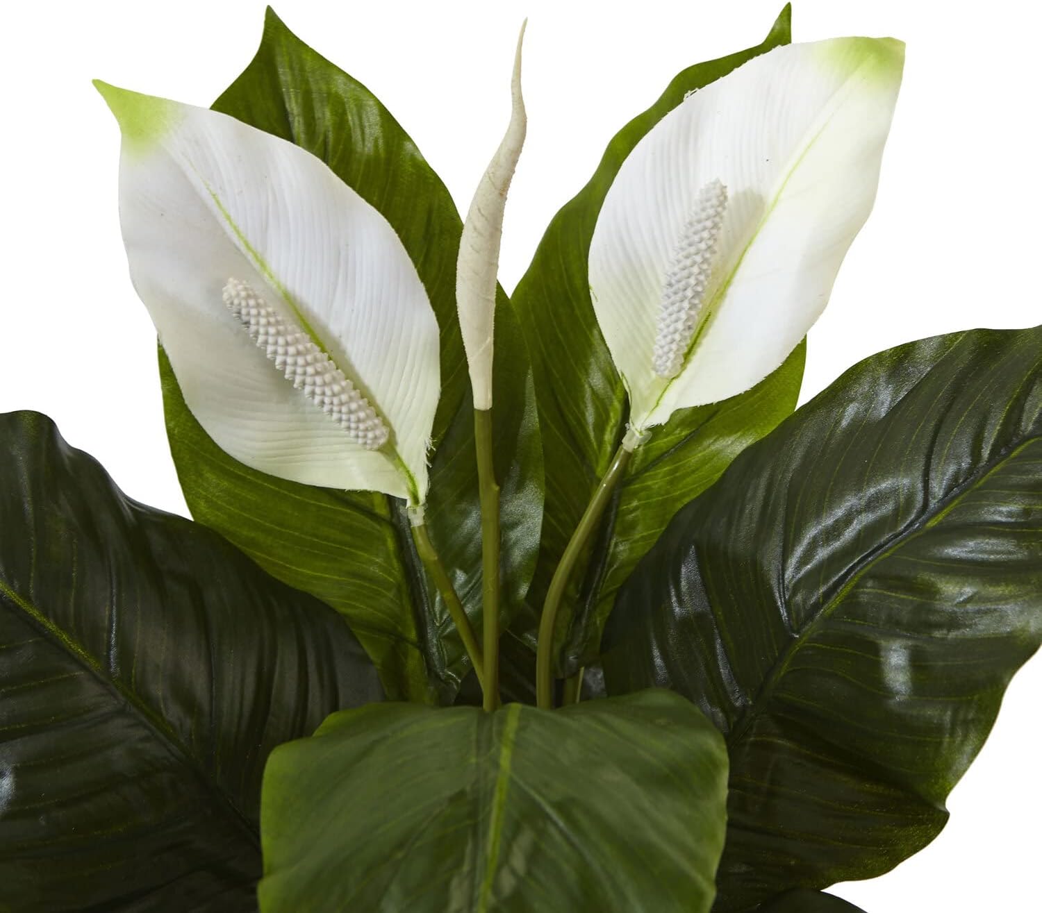 Nearly Natural 26 in Artificial Peace Lily Glass Planter Office Room Decor | Thick Bountiful Leaves, Premium Quality Materials